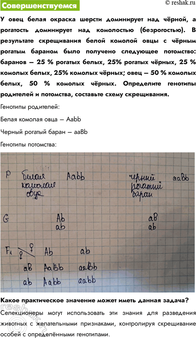Решение