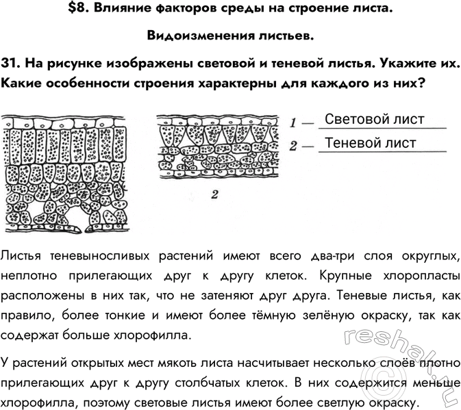 Решение