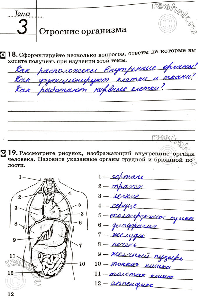 Решение 