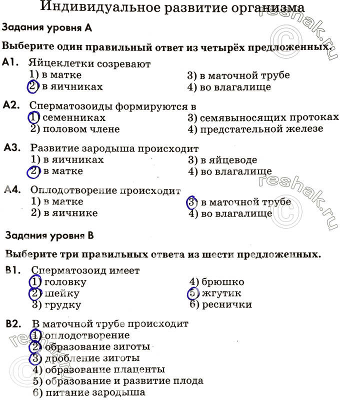 Решение 