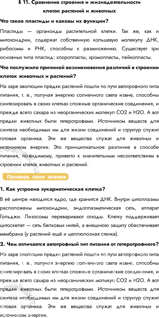 Решение задачи: § 11. Сравнение строения и жизнедеятельности клеток растений и животных Что такое пластиды и каковы их функции? Пластиды — органоиды растительной клетки.