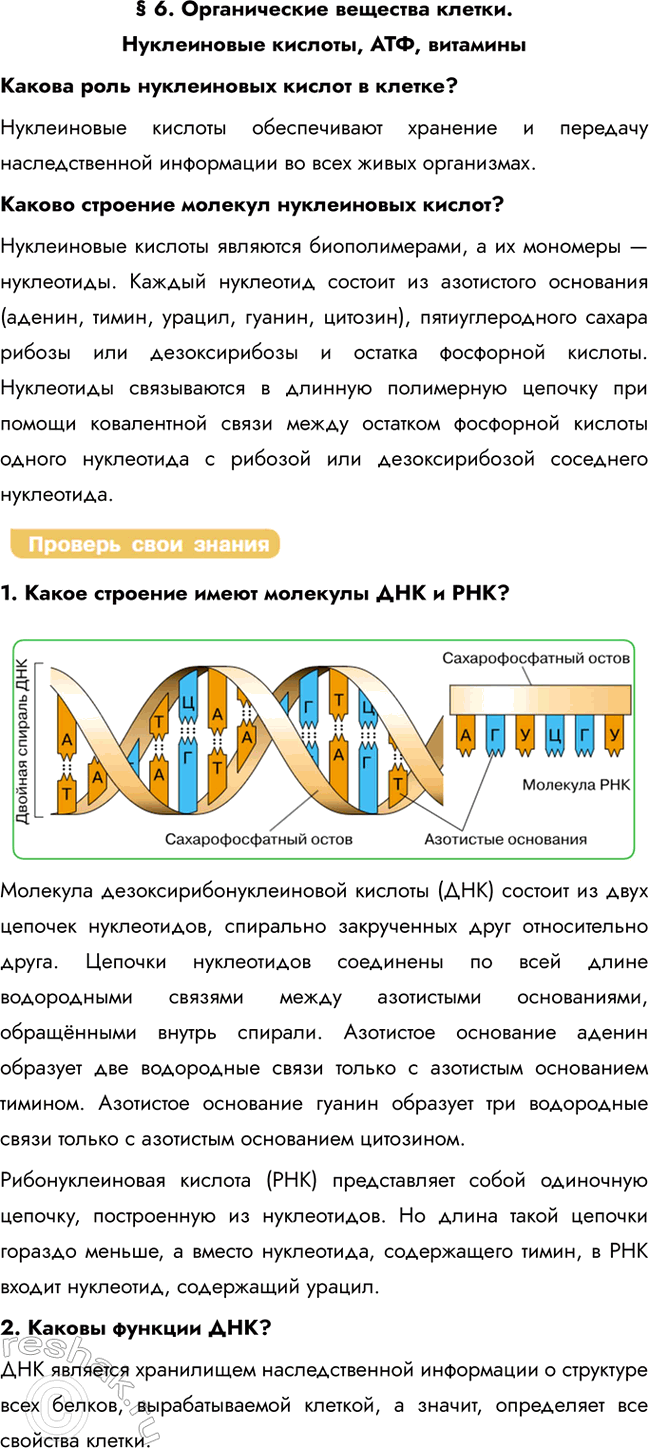 Решение задачи: § 6. Органические вещества клетки. Нуклеиновые кислоты, АТФ, витамины Какова роль нуклеиновых кислот в клетке? Нуклеиновые кислоты обеспечивают хранение и передачу наследственной информации во всех живых организмах.