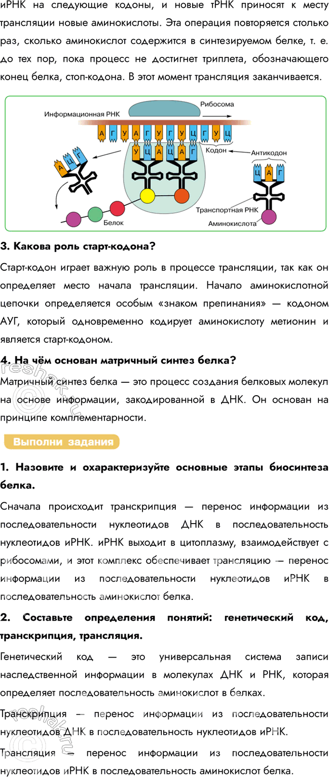 Решение задачи: § 16. Пластический обмен в клетке. Биосинтез белка в клетке. Генетический код Какова биологическая роль белков и нуклеиновых кислот? Первичная последовательность аминокислот в белке зашифрована в генетическом коде ДНК: