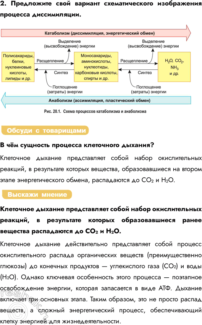Решение задачи: § 14. Энергетический обмен в клетке Что такое АТФ? АТФ — уникальный источник энергии для всех живых систем. Какие этапы выделяют в энергетическом обмене?