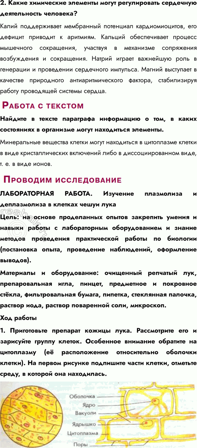 Решение задачи: Раздел 2. Клетка § 3. Химический состав организмов. Неорганические вещества клетки Что такое химический элемент? Химический элемент — это вещество, состоящее из атомов с одинаковым зарядом ядра (одинаковым количеством протонов).