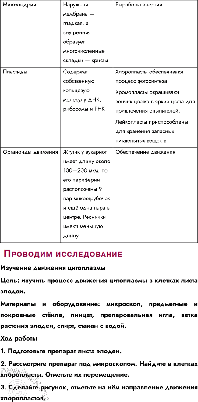 Решение задачи: § 9. Строение клетки. Эндоплазматическая сеть. Комплекс Гольджи. Лизосомы. Вакуоли. Клеточные включения. Митохондрии. Пластиды. Органоиды движения Какие органоиды клеток вам известны?