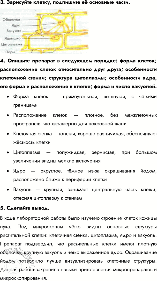 Решение задачи: Раздел 1. Биология как комплекс наук о живой природе § 1. Биология как наука. Методы научного познания Какие биологические науки вы знаете?