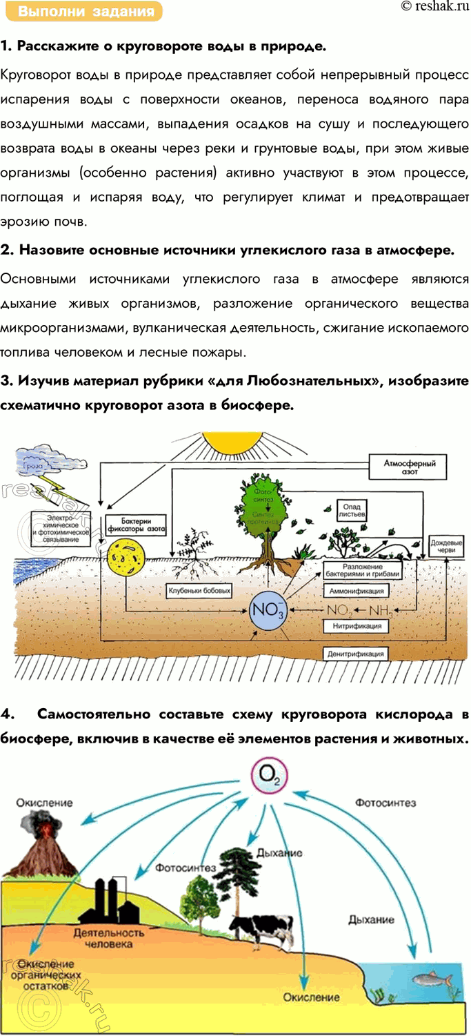 Решение задачи: § 31. Закономерности существования биосферы. Круговороты веществ в биосфере Каковы структура и состав биосферы? Биосфера представляет собой глобальную экосистему, состоящую из живых организмов и их среды обитания, где ключевым источником энергии является солнечное излучение, преобразуемое фото-синтезирующими организмами в энергию химических связей.