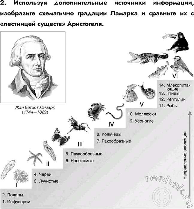 Решение задачи: Раздел 1. Теория эволюции § 1. История развития эволюционных идей Какие вы знаете систематические группы животных? • Вид • Род • Семейство • Отряд • Класс • Тип • Царство Каковы основные идеи эволюционной теории Ж.