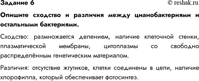 Решение задачи: Задание 6 Опишите сходство и различия между цианобактериями и остальными бактериями. Сходство: размножается делением, наличие клеточной стенки, плазматической мембраны, цитоплазмы со свободно распределённым генетическим материалом.