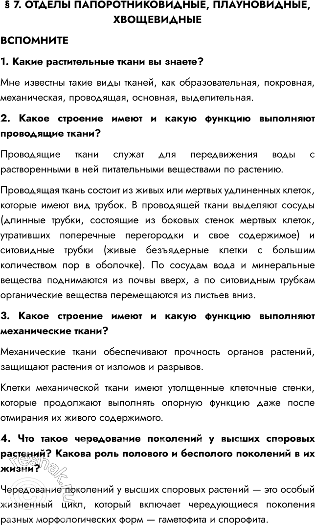 Решение задачи: § 7. ОТДЕЛЫ ПАПОРОТНИКОВИДНЫЕ, ПЛАУНОВИДНЫЕ, ХВОЩЕВИДНЫЕ ВСПОМНИТЕ 1. Какие растительные ткани вы знаете? Мне известны такие виды тканей, как образовательная, покровная, механическая, проводящая, основная, выделительная.