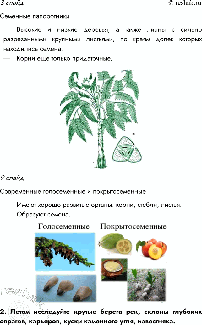 Решение задачи: § 10. РАЗВИТИЕ РАСТИТЕЛЬНОГО МИРА ВСПОМНИТЕ 1. Какая группа растений занимает в настоящее время господствующее положение? Господствующее положение в настоящее время занимают покрытосеменные растения.