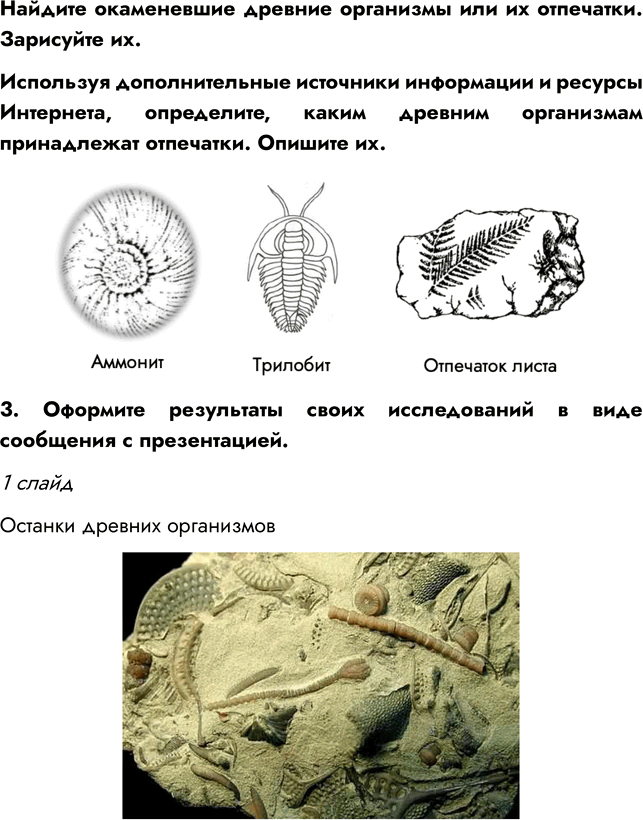 Решение задачи: § 10. РАЗВИТИЕ РАСТИТЕЛЬНОГО МИРА ВСПОМНИТЕ 1. Какая группа растений занимает в настоящее время господствующее положение? Господствующее положение в настоящее время занимают покрытосеменные растения.