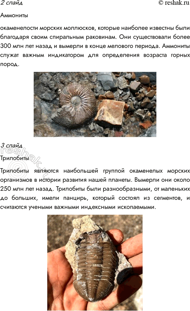 Решение задачи: § 10. РАЗВИТИЕ РАСТИТЕЛЬНОГО МИРА ВСПОМНИТЕ 1. Какая группа растений занимает в настоящее время господствующее положение? Господствующее положение в настоящее время занимают покрытосеменные растения.