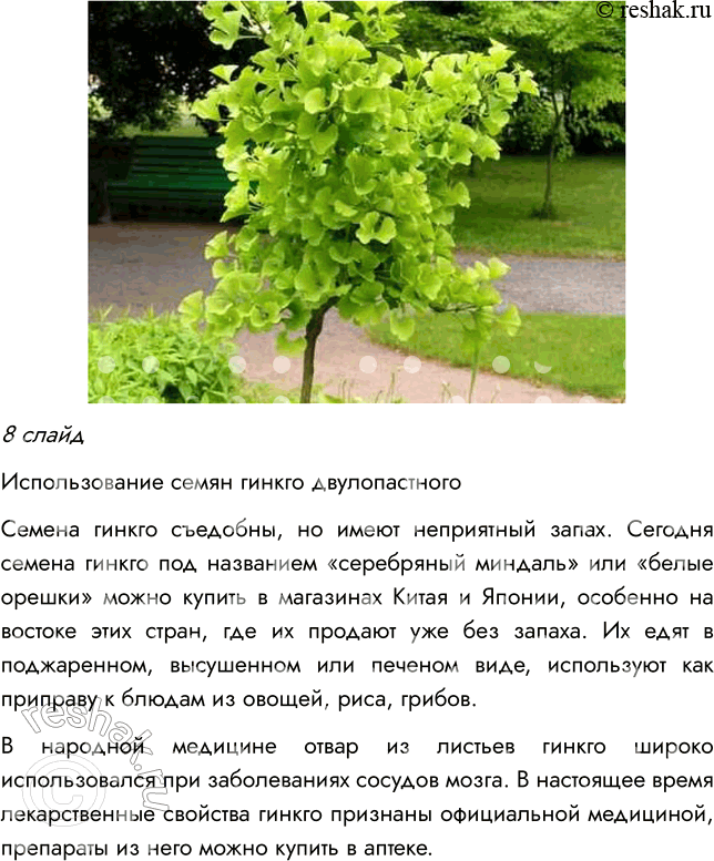 Решение задачи: § 8. ОТДЕЛ ГОЛОСЕМЕННЫЕ РАСТЕНИЯ ВСПОМНИТЕ 1. Какой жизненный цикл имеют моховидные? Жизненный цикл мха делится на две фазы: 1) Гаметофит — фаза образования растения из споры;