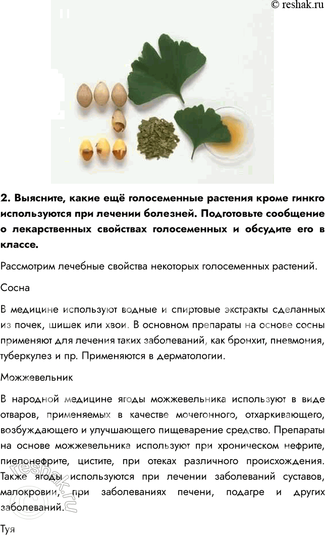 Решение задачи: § 8. ОТДЕЛ ГОЛОСЕМЕННЫЕ РАСТЕНИЯ ВСПОМНИТЕ 1. Какой жизненный цикл имеют моховидные? Жизненный цикл мха делится на две фазы: 1) Гаметофит — фаза образования растения из споры;