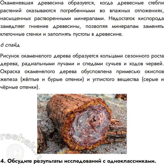 Решение задачи: § 10. РАЗВИТИЕ РАСТИТЕЛЬНОГО МИРА ВСПОМНИТЕ 1. Какая группа растений занимает в настоящее время господствующее положение? Господствующее положение в настоящее время занимают покрытосеменные растения.