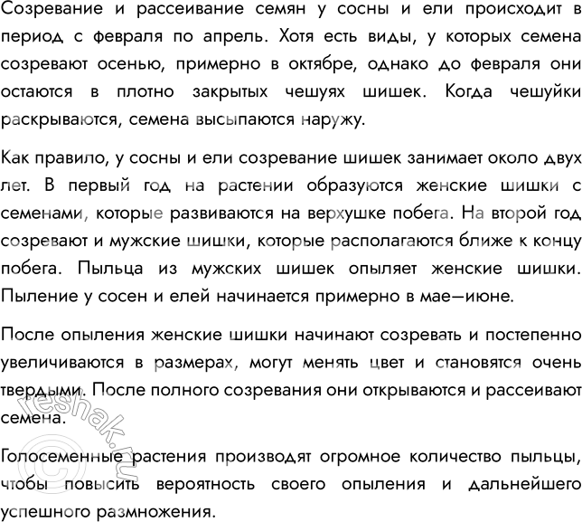 Решение задачи: § 8. ОТДЕЛ ГОЛОСЕМЕННЫЕ РАСТЕНИЯ ВСПОМНИТЕ 1. Какой жизненный цикл имеют моховидные? Жизненный цикл мха делится на две фазы: 1) Гаметофит — фаза образования растения из споры;
