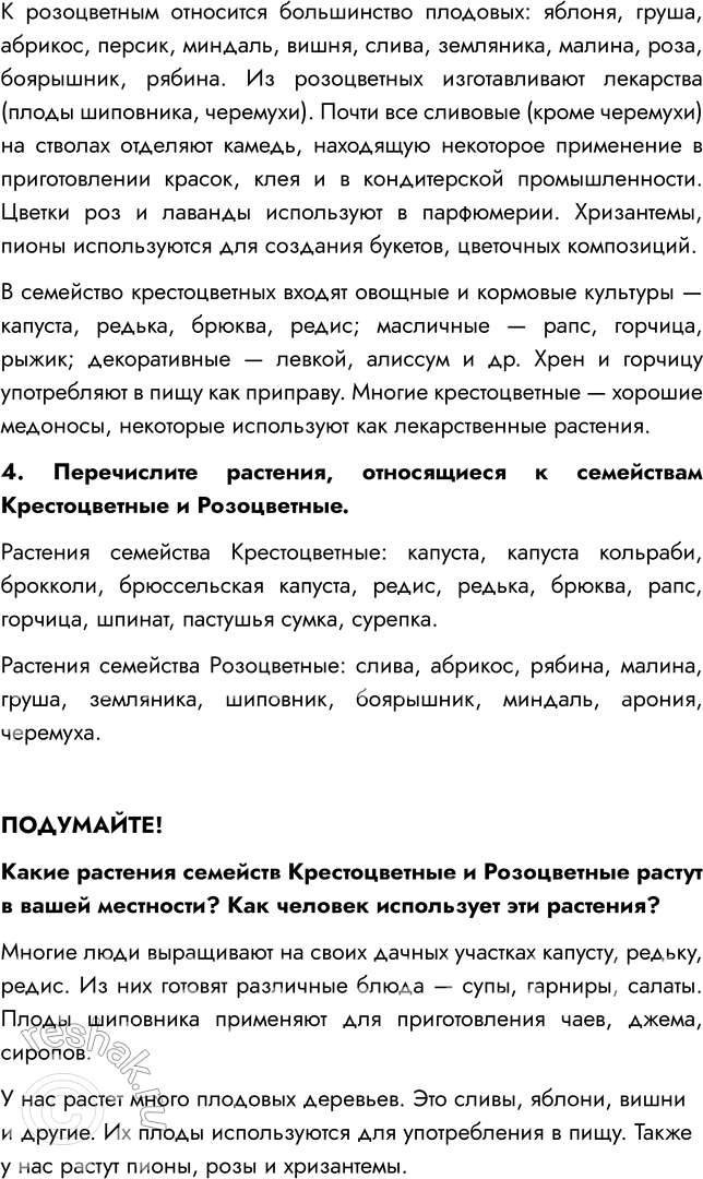 Решение задачи: § 12. КЛАСС ДВУДОЛЬНЫЕ. СЕМЕЙСТВА КРЕСТОЦВЕТНЫЕ И РОЗОЦВЕТНЫЕ ВСПОМНИТЕ 1. Из каких частей цветка образуются плоды? Плод образуется из завязи — нижней утолщённой части пестика.