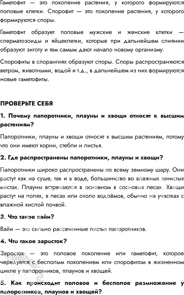 Решение задачи: § 7. ОТДЕЛЫ ПАПОРОТНИКОВИДНЫЕ, ПЛАУНОВИДНЫЕ, ХВОЩЕВИДНЫЕ ВСПОМНИТЕ 1. Какие растительные ткани вы знаете? Мне известны такие виды тканей, как образовательная, покровная, механическая, проводящая, основная, выделительная.