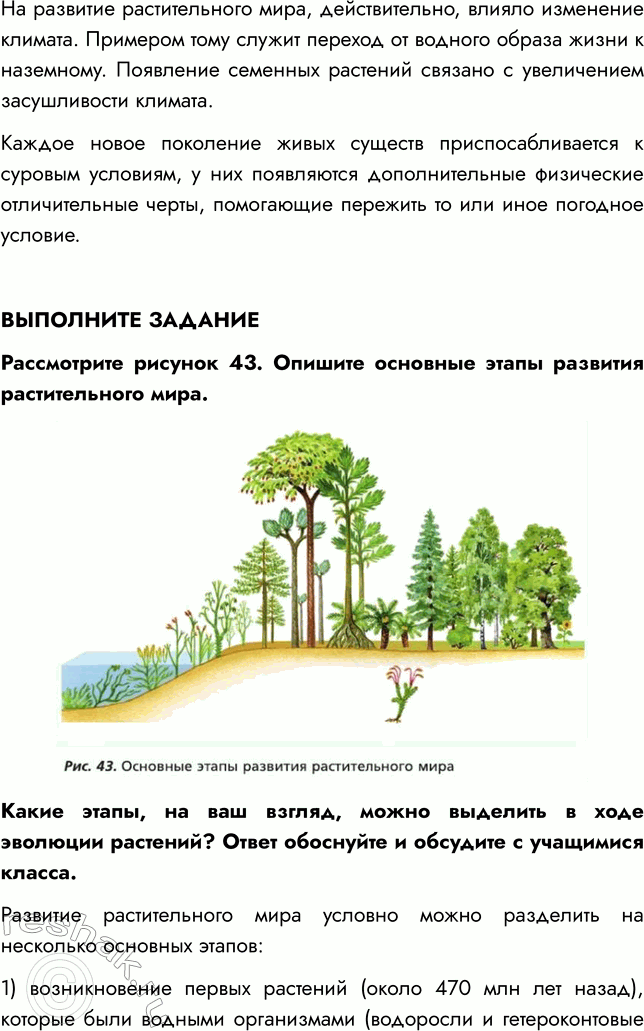 Решение задачи: § 10. РАЗВИТИЕ РАСТИТЕЛЬНОГО МИРА ВСПОМНИТЕ 1. Какая группа растений занимает в настоящее время господствующее положение? Господствующее положение в настоящее время занимают покрытосеменные растения.