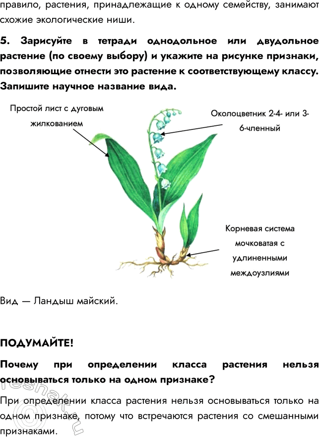 Решение задачи: § 11. КЛАССИФИКАЦИЯ ПОКРЫТОСЕМЕННЫХ ВСПОМНИТЕ 1. Какие систематические единицы вы знаете? Систематические единицы растений: вид, род, класс, отдел, царство. 2. Какие признаки характерны для покрытосеменных растений?