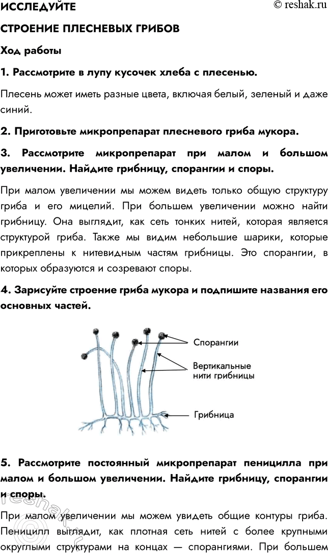 Решение задачи: § 24. ПЛЕСНЕВЫЕ ГРИБЫ И ДРОЖЖИ ВСПОМНИТЕ 1. Где поселяется плесень? Плесень поселяется на продуктах питания, органических материалах (на керамике, пластике, бумаге, ткани, бетоне, штукатурке, древесине), стенах, потолке, стыках на окнах.