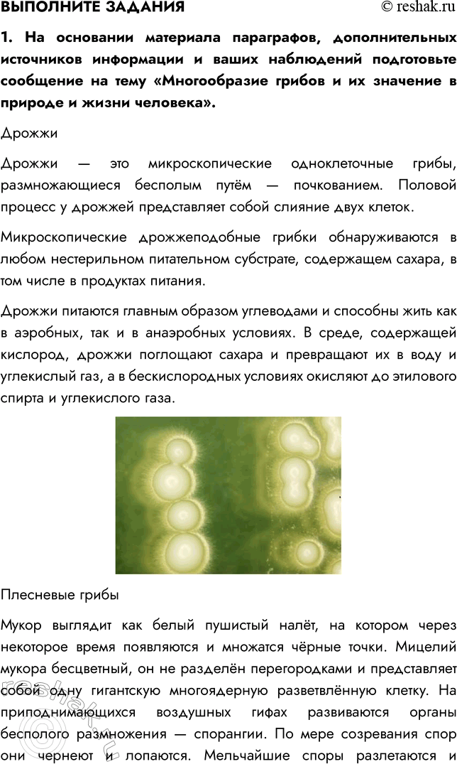 Решение задачи: § 25. ГРИБЫ — ПАРАЗИТЫ РАСТЕНИЙ, ЖИВОТНЫХ, ЧЕЛОВЕКА ВСПОМНИТЕ 1. Какие организмы называют паразитами? Паразитами называют организмы, которые используют другие живые существа в качестве источника питания и среды обитания.
