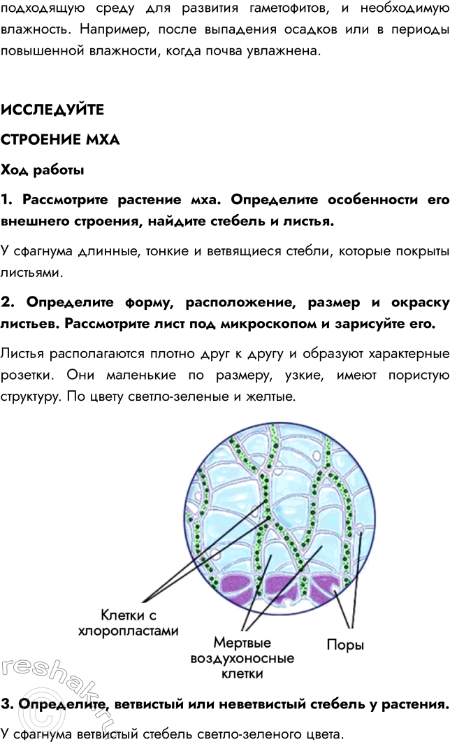 Решение задачи: § 6. ОТДЕЛ МОХОВИДНЫЕ ВСПОМНИТЕ 1. Что такое ризоиды? Ризоиды — нитевидные образования, которые служат для прикрепления к субстрату и поглощения из него воды и питательных веществ.