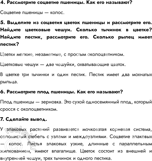 Решение задачи: § 14. КЛАСС ОДНОДОЛЬНЫЕ. СЕМЕЙСТВА ЛИЛЕЙНЫЕ И ЗЛАКИ (МЯТЛИКОВЫЕ) ВСПОМНИТЕ 1. Какие признаки характерны для однодольных? Характерные признаки однодольных растений: 1) наличие одной семядоли в зародыше;