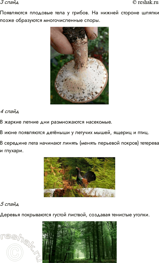 Решение задачи: § 18. СТРУКТУРА РАСТИТЕЛЬНОГО СООБЩЕСТВА ВСПОМНИТЕ 1. Какие типы растительных сообществ вы знаете? Мне известны такие типы сообществ, как лес, луг, болото, степь.