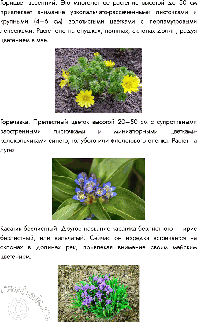 Решение задачи: § 19. OXPAHA РАСТИТЕЛЬНОГО МИРА ВСПОМНИТЕ 1. Какие факторы влияют на развитие растительного мира? Факторы, влияющие на развитие растительного мира: 1) Влажность.