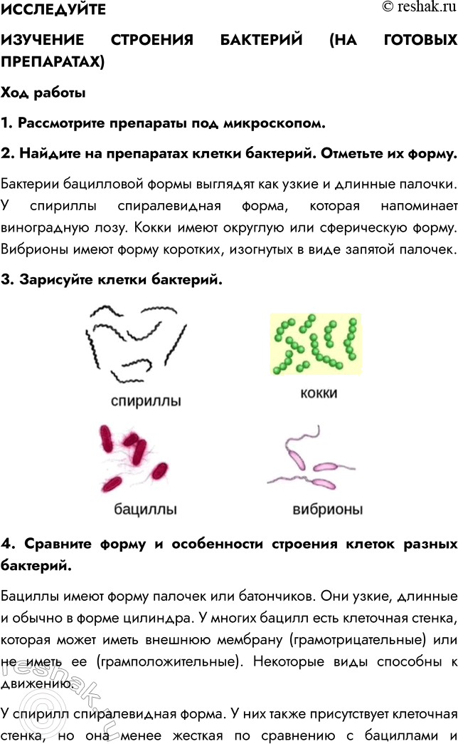 Решение задачи: § 21. РОЛЬ БАКТЕРИЙ В ПРИРОДЕ И ЖИЗНИ ЧЕЛОВЕКА ВСПОМНИТЕ 1. Какую роль играют бактерии в природе? Бактерии разрушают сложные органические вещества отмерших растений и трупов животных, выделения живых организмов и т.п.
