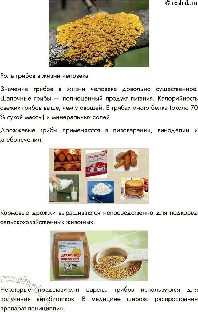 Решение задачи: § 22. ОБЩАЯ ХАРАКТЕРИСТИКА ГРИБОВ ВСПОМНИТЕ 1. Чем грибы отличаются от растений? Отличия грибов от растений: - Грибы питаются готовыми органическими веществами, высасывая их из почвы, а растения производят их в процессе фотосинтеза.