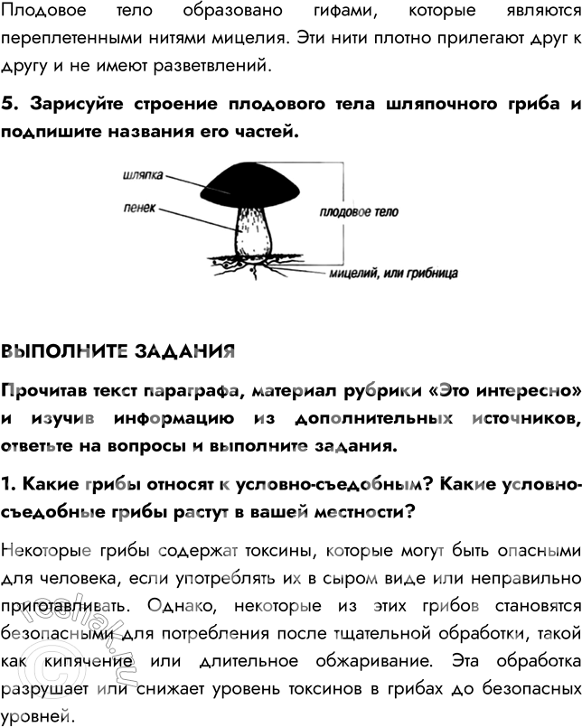 Решение задачи: § 23. ШЛЯПОЧНЫЕ ГРИБЫ ВСПОМНИТЕ 1. Какие съедобные грибы вы знаете? Мне известны такие съедобные грибы, как лисички, опята, подосиновики, белый гриб.