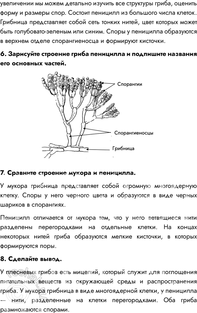 Решение задачи: § 24. ПЛЕСНЕВЫЕ ГРИБЫ И ДРОЖЖИ ВСПОМНИТЕ 1. Где поселяется плесень? Плесень поселяется на продуктах питания, органических материалах (на керамике, пластике, бумаге, ткани, бетоне, штукатурке, древесине), стенах, потолке, стыках на окнах.