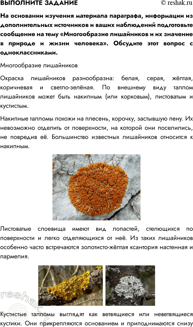 Решение задачи: § 26. ЛИШАЙНИКИ ВСПОМНИТЕ 1. Что такое таллом? Таллом — это тело низших растений, не имеющее отдельных органов и тканей — листьев, корня, стебля.
