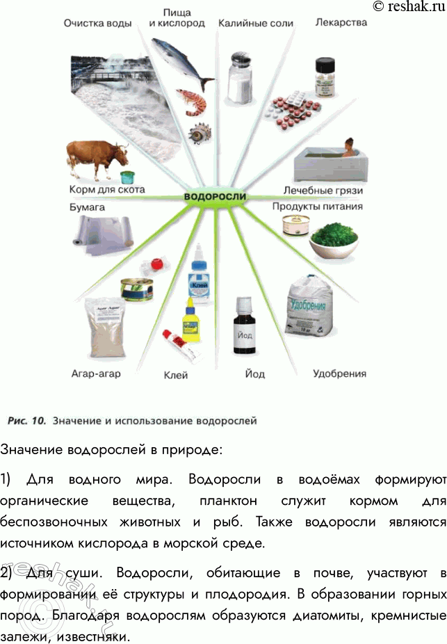 Решение задачи: § 3. ОБЩАЯ ХАРАКТЕРИСТИКА ВОДОРОСЛЕЙ ВСПОМНИТЕ 1. Что такое пластиды? Какие пластиды вы знаете? Пластиды — это мелкие тельца, содержащиеся в цитоплазме и определяющие окраску тех или иных частей растений.