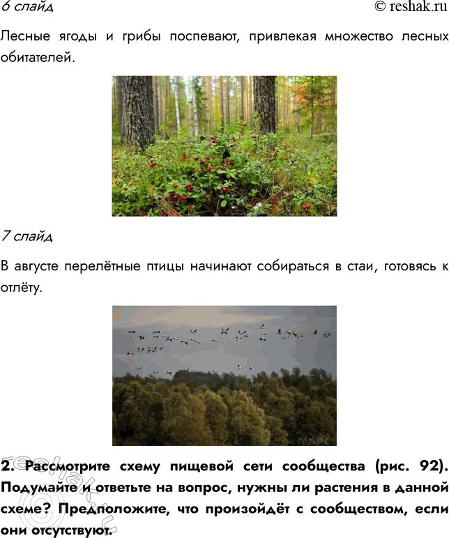 Решение задачи: § 18. СТРУКТУРА РАСТИТЕЛЬНОГО СООБЩЕСТВА ВСПОМНИТЕ 1. Какие типы растительных сообществ вы знаете? Мне известны такие типы сообществ, как лес, луг, болото, степь.