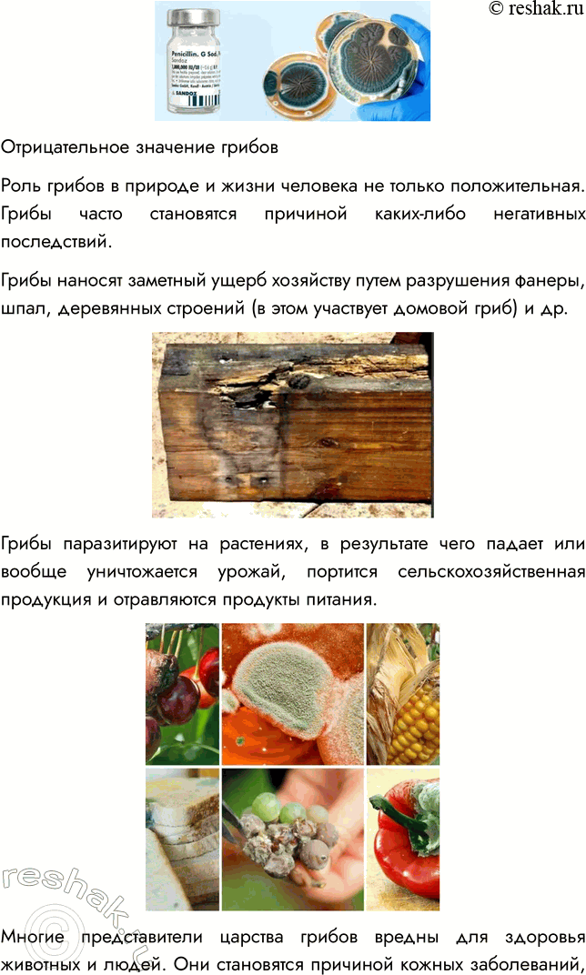 Решение задачи: § 22. ОБЩАЯ ХАРАКТЕРИСТИКА ГРИБОВ ВСПОМНИТЕ 1. Чем грибы отличаются от растений? Отличия грибов от растений: - Грибы питаются готовыми органическими веществами, высасывая их из почвы, а растения производят их в процессе фотосинтеза.