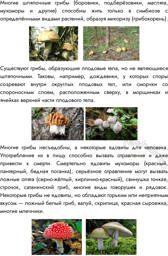 Решение задачи: § 25. ГРИБЫ — ПАРАЗИТЫ РАСТЕНИЙ, ЖИВОТНЫХ, ЧЕЛОВЕКА ВСПОМНИТЕ 1. Какие организмы называют паразитами? Паразитами называют организмы, которые используют другие живые существа в качестве источника питания и среды обитания.