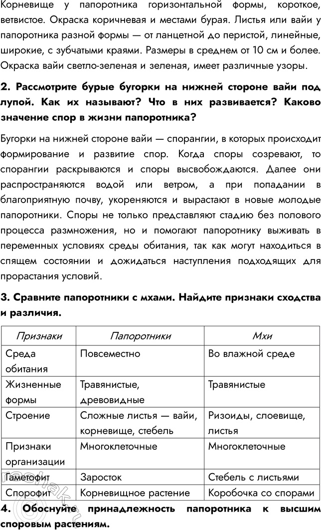 Решение задачи: § 7. ОТДЕЛЫ ПАПОРОТНИКОВИДНЫЕ, ПЛАУНОВИДНЫЕ, ХВОЩЕВИДНЫЕ ВСПОМНИТЕ 1. Какие растительные ткани вы знаете? Мне известны такие виды тканей, как образовательная, покровная, механическая, проводящая, основная, выделительная.