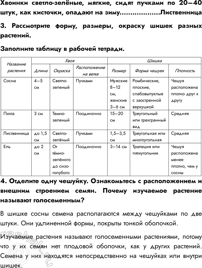 Решение задачи: § 8. ОТДЕЛ ГОЛОСЕМЕННЫЕ РАСТЕНИЯ ВСПОМНИТЕ 1. Какой жизненный цикл имеют моховидные? Жизненный цикл мха делится на две фазы: 1) Гаметофит — фаза образования растения из споры;