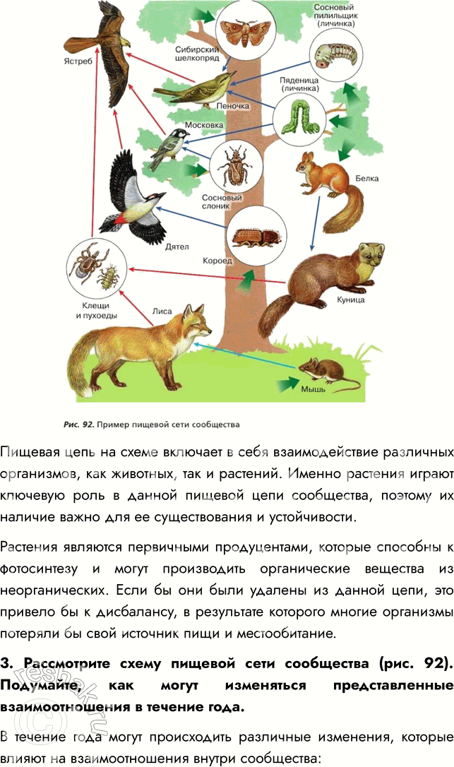 Решение задачи: § 18. СТРУКТУРА РАСТИТЕЛЬНОГО СООБЩЕСТВА ВСПОМНИТЕ 1. Какие типы растительных сообществ вы знаете? Мне известны такие типы сообществ, как лес, луг, болото, степь.