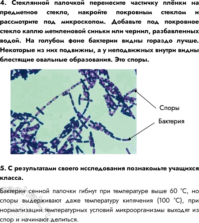 Решение задачи: § 20. СТРОЕНИЕ И ЖИЗНЕДЕЯТЕЛЬНОСТЬ БАКТЕРИЙ ВСПОМНИТЕ 1. На какие царства принято разделять живые организмы? Живые организмы принято разделять на четыре царства: