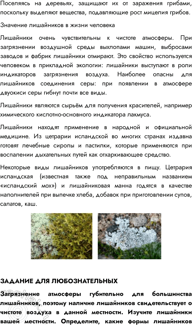 Решение задачи: § 26. ЛИШАЙНИКИ ВСПОМНИТЕ 1. Что такое таллом? Таллом — это тело низших растений, не имеющее отдельных органов и тканей — листьев, корня, стебля.