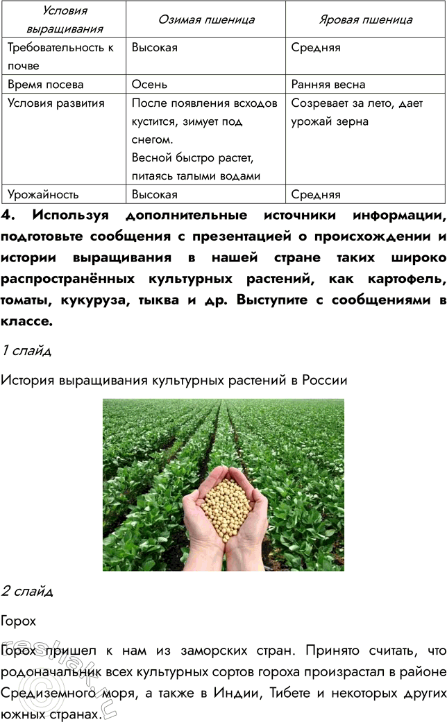 Решение задачи: § 15. МНОГООБРАЗИЕ И ПРОИСХОЖДЕНИЕ КУЛЬТУРНЫХ РАСТЕНИЙ ВСПОМНИТЕ 1. Какие культурные растения вам известны? Мне известно много культурных растений, например, картофель, томат, кукуруза, пшеница, фасоль, свекла и др.