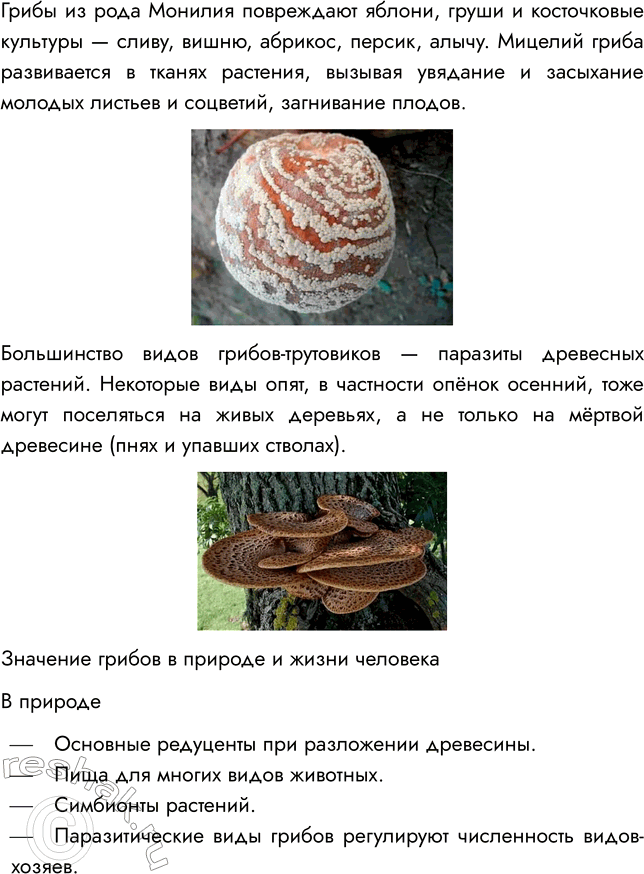 Решение задачи: § 25. ГРИБЫ — ПАРАЗИТЫ РАСТЕНИЙ, ЖИВОТНЫХ, ЧЕЛОВЕКА ВСПОМНИТЕ 1. Какие организмы называют паразитами? Паразитами называют организмы, которые используют другие живые существа в качестве источника питания и среды обитания.