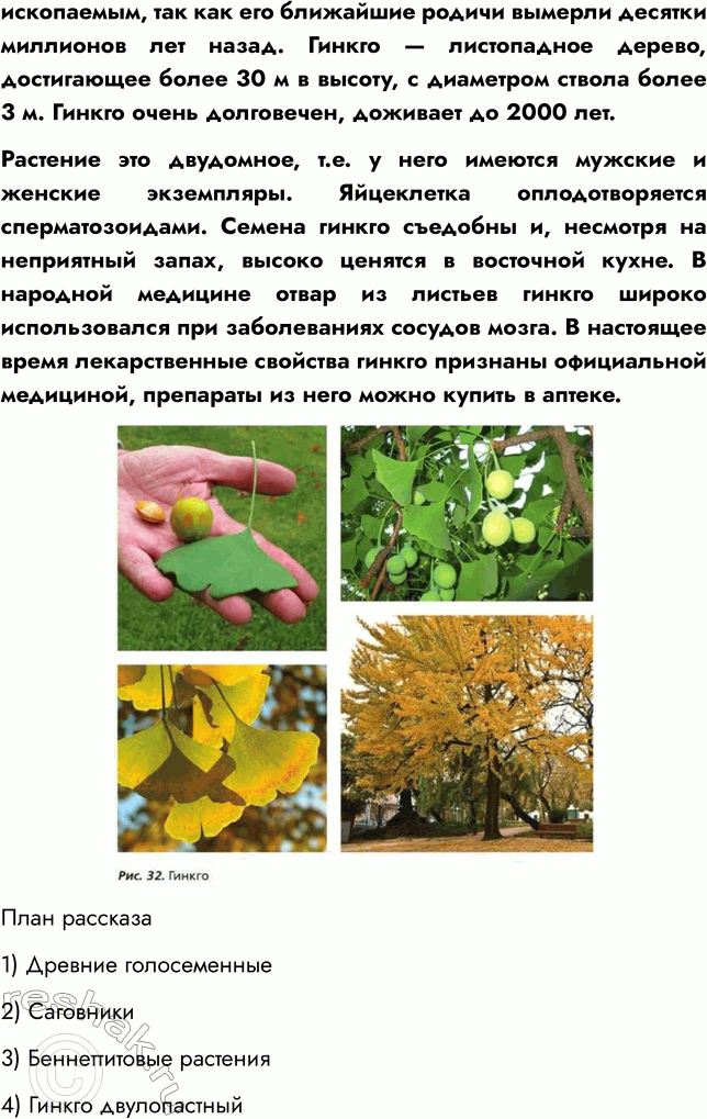 Решение задачи: § 8. ОТДЕЛ ГОЛОСЕМЕННЫЕ РАСТЕНИЯ ВСПОМНИТЕ 1. Какой жизненный цикл имеют моховидные? Жизненный цикл мха делится на две фазы: 1) Гаметофит — фаза образования растения из споры;