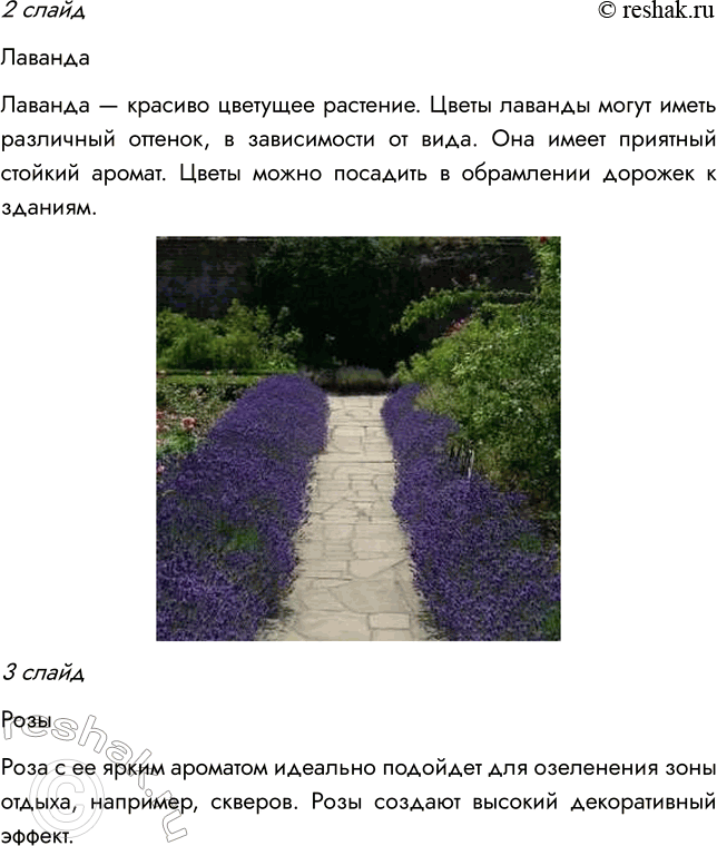 Решение задачи: § 9. ОТДЕЛ ПОКРЫТОСЕМЕННЫЕ, ИЛИ ЦВЕТКОВЫЕ, РАСТЕНИЯ ВСПОМНИТЕ 1. Какие растения называют цветковыми? Цветковыми называют растения, у которых есть цветок, из которого развивается плод с семенами.